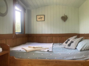 Pyllauduon Luxury Shepherds Hut